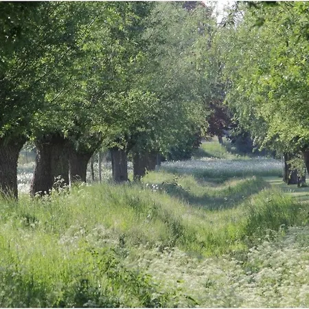 Pleasant In Lana Xanten